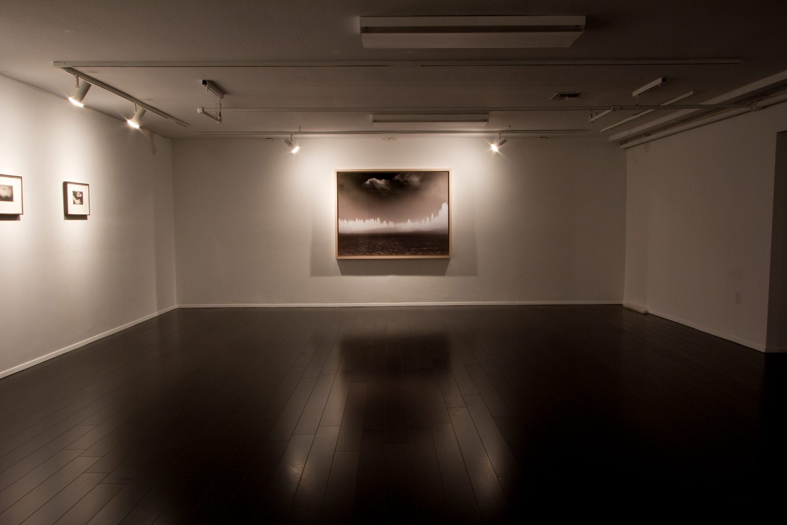 Better a Live Ass Than a Dead Lion — installation view, Eli Ridgway Gallery, 2011