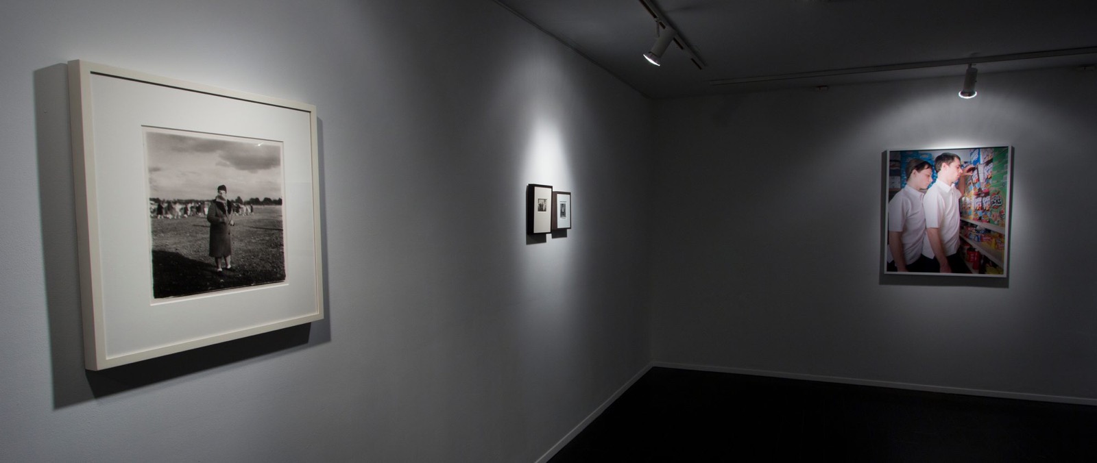 Mutables — installation view