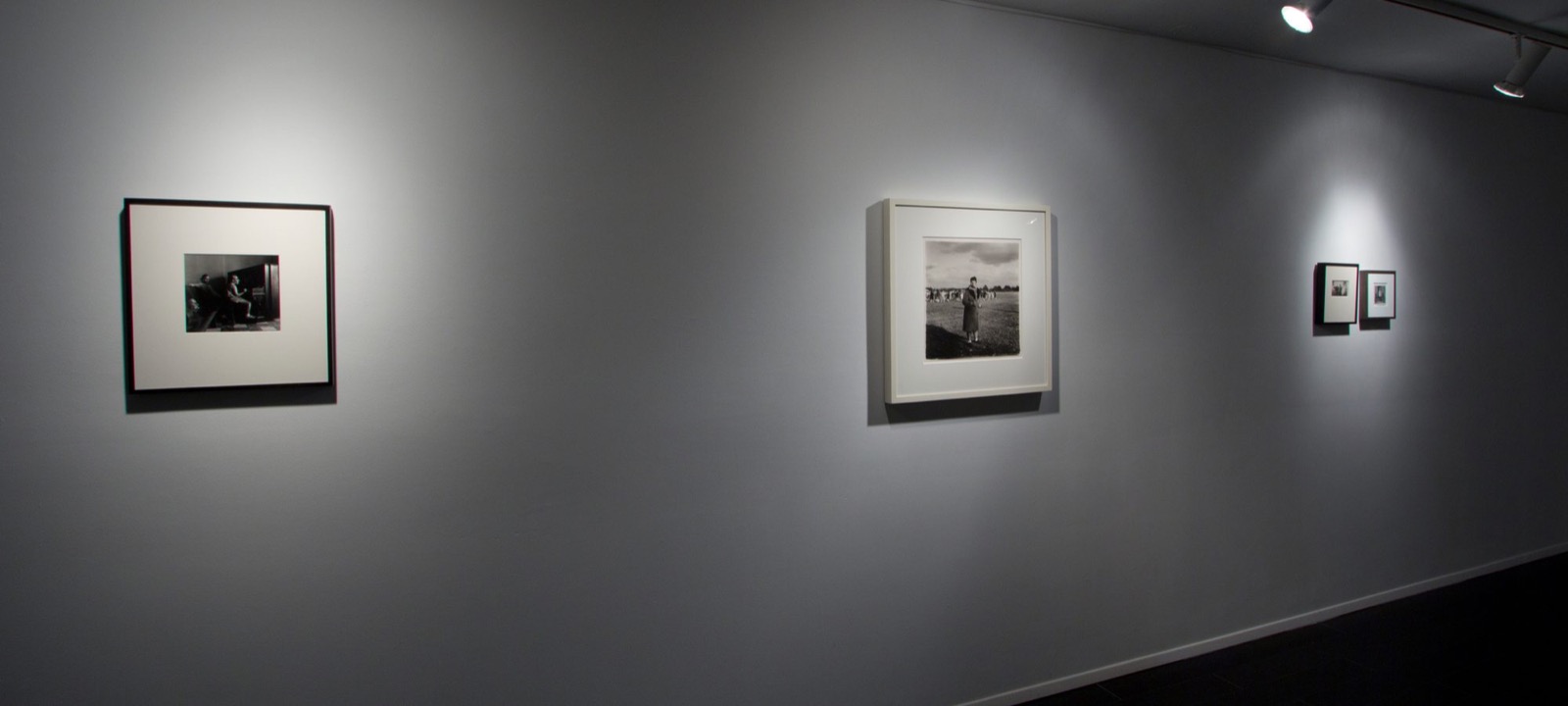 Mutables — installation view